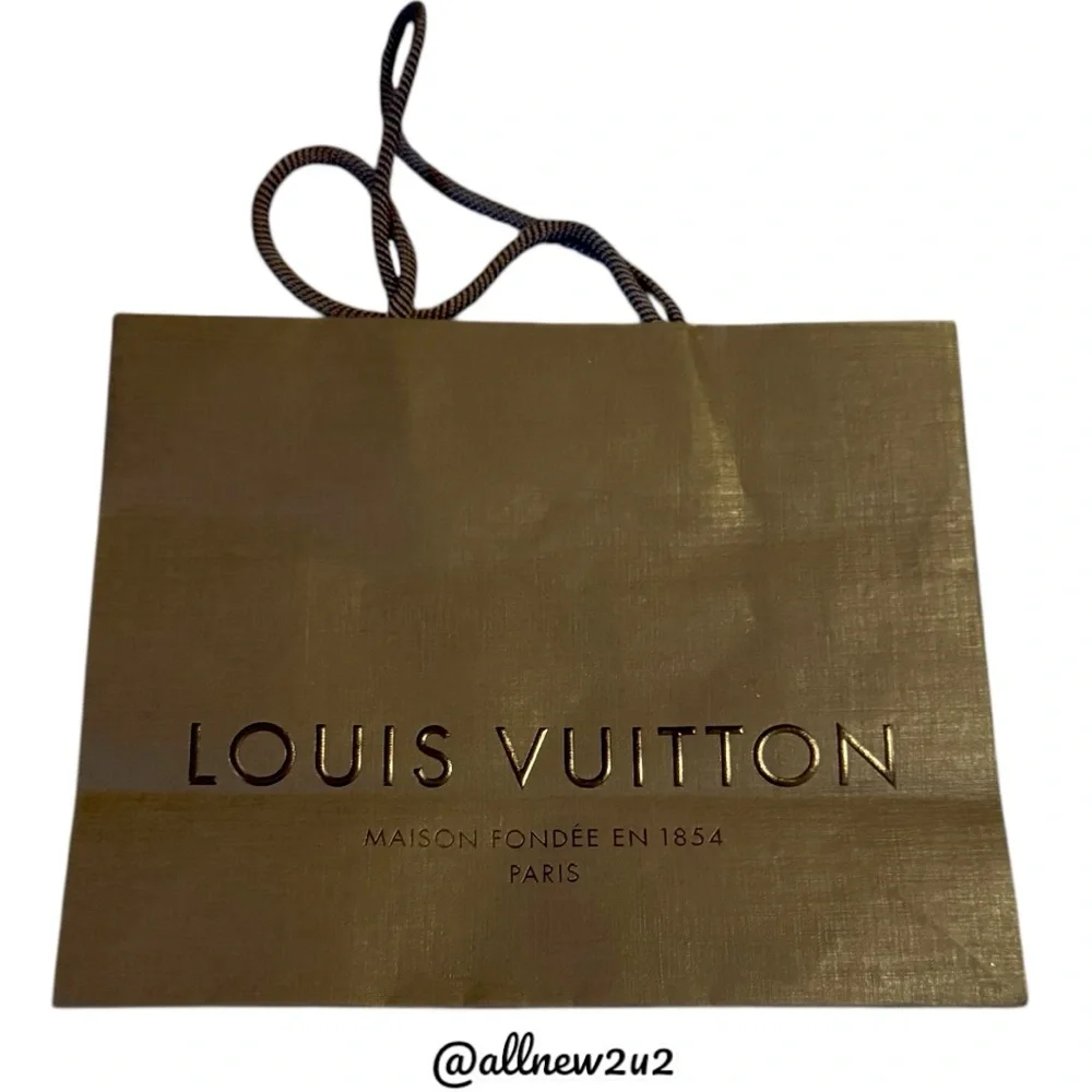 Louis Vuitton Gift Bag